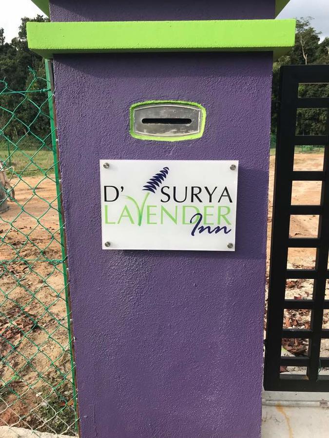 D' Surya Lavender Inn Pantai Cenang  Exterior foto